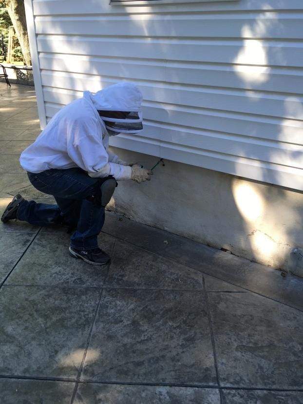 A recent bees exterminator job in the Freehold, NJ area